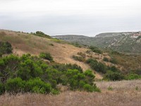 2012 Crystal Cove CA 0430  Near Santa Ana California is Crystal Cove State Park. A great place to "run hills". I was able to get some miles in during a trip in June of 2012. : Running, Trail, Trips